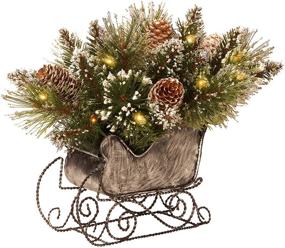 img 1 attached to National Tree 10 Inch Glittery Bristle Pine Sleigh: White Cones, 15 LED Lights (GB3-300-10-B)