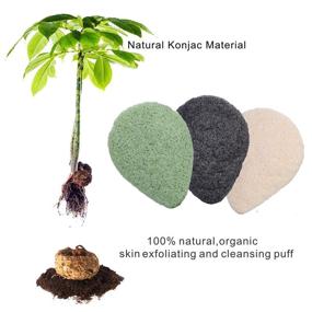 img 3 attached to 🌿 EMOCCI Organic Konjac Sponge Set for Face - Activated Charcoal Reusable Facial Sponge for Gentle Daily Exfoliation & Skincare - Makeup Remover - Natural Konjac Sponge with Gift Box - 3pcs Pack