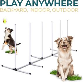 img 1 attached to 🐶 Premium Dog Agility Equipment Set - CHEERING PET 5-Piece Training Fun Kit for Dogs, Including Tunnel, Dog Jump, Hoop, Weave Poles and Convenient Carry Case - Ideal for Indoor or Outdoor Dog Agility Training…