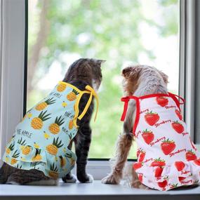 img 1 attached to 🍉 6 Piece Pet Clothes Set: Adorable Summer Fruit Dog Dress & Breathable T-Shirts for Small Dogs & Cats