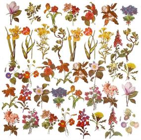img 4 attached to 🌺 Decorative Vintage Flowers and Plants Stickers