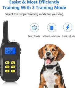 img 3 attached to 🐶 ESHOWEE Rechargeable Dog Training Collar with Remote - Beep, Vibration, and Adjustable Shock Levels for Small and Large Dogs - Waterproof Shock Collar for Effective Training