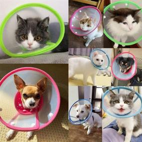 img 2 attached to 🐾 Soft Dotted Recovery Collar: Cat Cone and Dog Cone After Surgery for Cats, Kittens, Puppies, and Small Dogs - Ideal for Pets and Animals