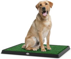 img 4 attached to 🐾 Optimized Artificial Grass Puppy Pad Collection - for Dogs and Small Pets – Portable Training Pad with Tray – Dog Housebreaking Supplies