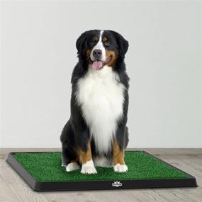 img 1 attached to 🐾 Optimized Artificial Grass Puppy Pad Collection - for Dogs and Small Pets – Portable Training Pad with Tray – Dog Housebreaking Supplies