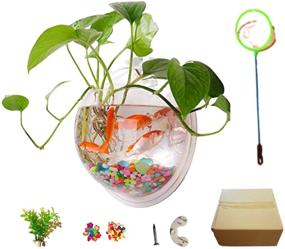 img 4 attached to 🐠 Acrylic Hanging Wall Mount Fish Tank with Water Plants Bowl, Wall Fish Bubble Tank for Hydroponics, Air Plant Flower Pot, Mini Aquarium Planter, Home Decor with Fake Plants, Nail Stones, and More