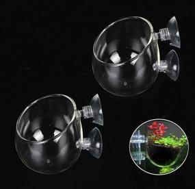 img 3 attached to 🌿 Fashionclubs Crystal Glass Aquatic Plant Cup Pot Holder for Aquarium Tank Live Plant Glass Pot Red Shrimp Holder with 2 Suckers - Fish Tank Aquascape Decor (2-Pack)