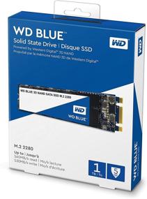 img 2 attached to 💾 WD Blue 3D NAND M.2 2280 SATA III 6 Gb/s Internal PC SSD - 1TB, Up to 560 MB/s - WDS100T2B0B by Western Digital