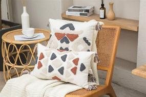 img 3 attached to 🛋️ Faycole Bohemian Tufted Tribal Lumbar Pillow Cases: Stylish Tassel Decor, Sofa Couch Farmhouse 12x20 Inches Cream Grey Rust