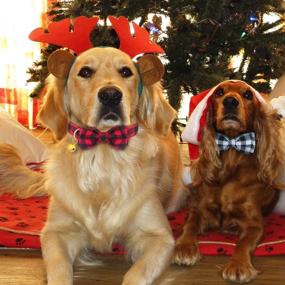 img 3 attached to KUDES Plaid Dog Collar with Bow, Set of 2 - Adjustable Dog Bowtie Collars with Bell, Ideal Gift for Small, Medium, and Large Girl and Boy Dogs - Red &amp; Black