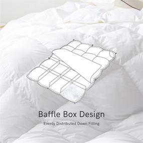 img 2 attached to 🛏️ Premium ELEMUSE Lightweight White Down Comforter Queen - Stay Cool All Year, 100% Egyptian Cotton Cover - Corner Tabs & Washable - Medium Warmth & Down Proof