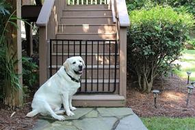 img 3 attached to 🚧 Black Outdoor Safety Gate by Cardinal Gates - 29.5″ Tall