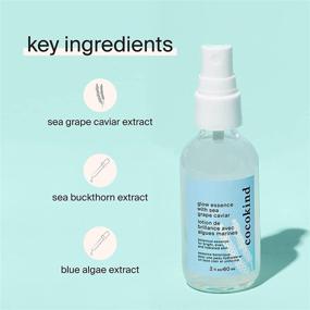 img 2 attached to 🌊 Cocokind Sea Grape Caviar Glow Essence, Hydrating Face Mist, Enhances Water Retention, 2 oz