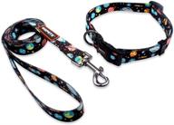 🌟 adjustable personalized qqpets dog collar leash set: basic collars with handle for training, walking, and running medium or large dogs - starry sky pattern logo