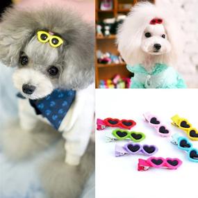 img 2 attached to 🐶 Stylish MinLia Pet Dog Hair Bows Clips - 8PCS Fashionable Grooming Accessories for Your Pooch