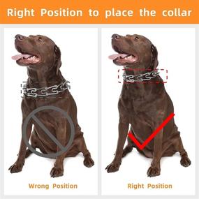 img 3 attached to 🐕 Strinify Quick Release Dog Prong Collar: Adjustable Stainless Steel Links | Rubber Tips | Locking Carabiner | Effective Training Collar for Medium to Large Dogs