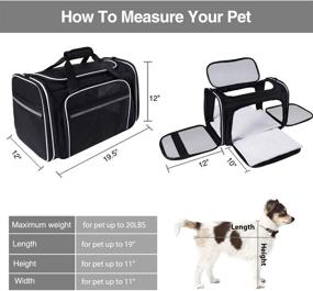 img 3 attached to 🐾 MASKEYON Airline Approved Large Pet Travel Carrier: Collapsible, Soft-Sided, for Small Dogs, 2 Cats - 3 Mesh Pockets, 5 Entry Points, Removable Pads, Shoulder Strap