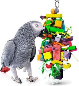 img 4 attached to 🐦 SunGrow Parrot Wooden and Rope Chewing Toy - Multi-Shaped Blocks and Cotton Rope for Endless Fun