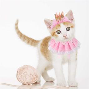 img 1 attached to 🐱 Legendog Princess Cat Bandana and Crown Set - Cute Lace Costumes for Cats and Small Dogs, Perfect Pink Outfit for Birthday Parties