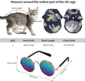 img 2 attached to 🐶 Legendog 3PCS Cool Cat Dog Costume Fashion Metal Pet Dog Collar Cat Sunglasses with Pineapple Print Dog Shirt for Cats and Small Dogs - Adjustable Gold Dog Puppy Chain Collar Set, Perfect Pet Photo Props