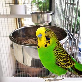 img 1 attached to 🦜 Stainless Steel Feeding Cups with Clamp Holder for Parrots - 2 Pack, Ideal for Hamiledyi Parrot, Macaw, African Gray, Parakeet, Canary, Cockatiel, Conure - Bird Cage Food Dishes