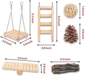 img 2 attached to 🐹 SUSYEE 14 Pcs Hamster Chew Toys - Apple Wooden Dumbbells, Exercise Bell Roller - Teeth Care Molar Toys for Rat, Chinchilla, Guinea Pig, Rabbits