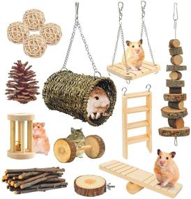img 4 attached to 🐹 SUSYEE 14 Pcs Hamster Chew Toys - Apple Wooden Dumbbells, Exercise Bell Roller - Teeth Care Molar Toys for Rat, Chinchilla, Guinea Pig, Rabbits