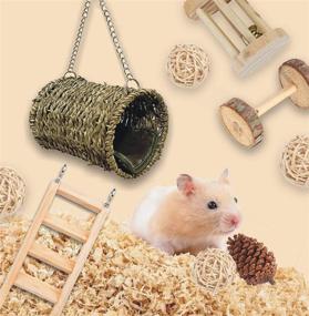 img 1 attached to 🐹 SUSYEE 14 Pcs Hamster Chew Toys - Apple Wooden Dumbbells, Exercise Bell Roller - Teeth Care Molar Toys for Rat, Chinchilla, Guinea Pig, Rabbits