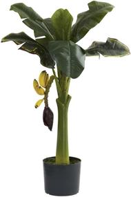 img 1 attached to 🌴 Stunningly Realistic 3-Feet Green Large Banana Tree - Nearly Natural 5359