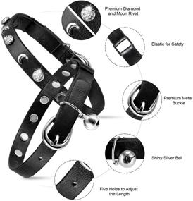 img 1 attached to 🐱 Premium Leather Cat Collars with Bell - Adjustable Safety Collar for Cats - Personalized Moon & Rhinestone Design - Ideal for Kittens & Puppies - 7-10 Inch Length - Elastic Strap - (1 Pack Black)