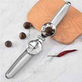 img 2 attached to 🌰 CHAOMIC Nutcracker Chestnut Clip - 304 Stainless Steel Chestnut Cutter Tool for Kitchen, Multifunctional Opener for Chestnuts, Nuts, and Dried Fruits