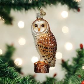 img 3 attached to 🦉 Exquisite Old World Christmas Barn Owls Glass Blown Ornaments: Enchant Your Christmas Tree