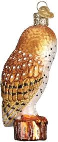 img 2 attached to 🦉 Exquisite Old World Christmas Barn Owls Glass Blown Ornaments: Enchant Your Christmas Tree