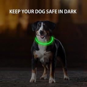 img 3 attached to 🐶 2-Pack Rechargeable LED Dog Collar by NOVKIN - Light Up Dog Collars for Night Walking, Universal Safety Necklace for Small Medium Large Dogs - Long-lasting, Reusable