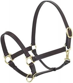 img 1 attached to 🐴 CAMELOT Basic Leather Adjustable Stable Halter with Snap: Durable and Functional Equestrian Accessory