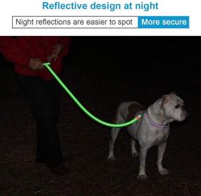 img 1 attached to 6FT Reflective Dog Leash - Durable, Strong, and Heavy-Duty Rope Leash for Small to Medium Dogs - Ideal for Training, Running, Walking, and Hiking