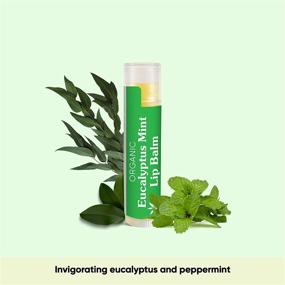 img 2 attached to 🌿 Sky Organics USDA Organic Lip Balms (4 Pack) - Eucalyptus Mint Lip Balms Infused with Sunflower Seed Oil, Beeswax, Coconut Oil, and Vitamin E - Cruelty-Free Lip Balm for Optimal Lip Health