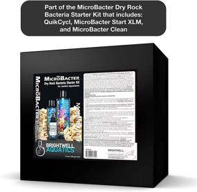 img 1 attached to Brightwell Aquatics MicroBacter Microbial Designed