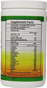 img 2 attached to Biotech Nutritions Non GMO Protein Vanilla