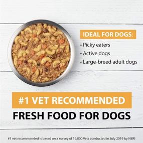 img 3 attached to 🐶 JustFoodForDogs PantryFresh Dog Food: Nutritious & Convenient Whole Food Meals for Adult Dogs & Puppies