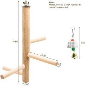 img 3 attached to 🐦 S-Mechanic 2pcs Bird Perch: Natural Wooden Branches for Small to Medium Parrots in Cages - Ideal Toys for Budgies, Parakeets, Cockatiels, Conures, and Lovebirds