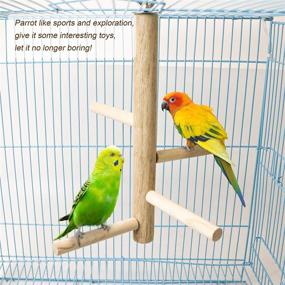 img 1 attached to 🐦 S-Mechanic 2pcs Bird Perch: Natural Wooden Branches for Small to Medium Parrots in Cages - Ideal Toys for Budgies, Parakeets, Cockatiels, Conures, and Lovebirds