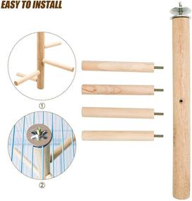 img 2 attached to 🐦 S-Mechanic 2pcs Bird Perch: Natural Wooden Branches for Small to Medium Parrots in Cages - Ideal Toys for Budgies, Parakeets, Cockatiels, Conures, and Lovebirds