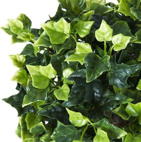 img 2 attached to 🌿 Enhance Your Space with a Set of 2 Pure Garden 30 Inch English Ivy Single Ball Topiary Trees - 7x7, Green