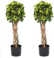 🌿 enhance your space with a set of 2 pure garden 30 inch english ivy single ball topiary trees - 7x7, green логотип