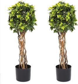 img 4 attached to 🌿 Enhance Your Space with a Set of 2 Pure Garden 30 Inch English Ivy Single Ball Topiary Trees - 7x7, Green