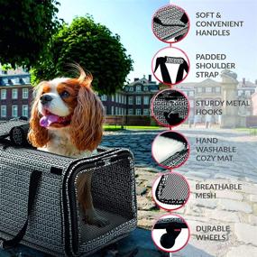 img 2 attached to 🐾 Rolling Pet Carrier with Click-Out Handle - Soft Sided & Portable, Ideal for Dogs and Cats up to 22 lbs