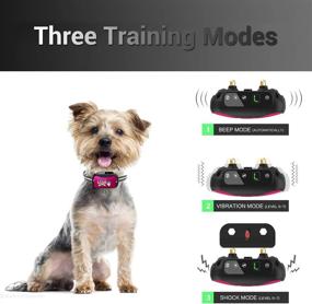 img 1 attached to 🐕 Rechargeable Bark Collar - 2 Pack Shock/No Shock/Vibrate E Collar for Small/Medium/Large Dogs