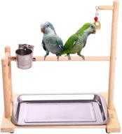 🐦 qbleev conure birdcage stand parrot play gym wood playground accessories birdhouse decor table top playstand with ladder stainless steel feeder cup tray for small/medium parakeets cages logo