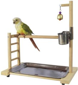 img 1 attached to 🐦 QBLEEV Conure Birdcage Stand Parrot Play Gym Wood Playground Accessories Birdhouse Decor Table Top PlayStand with Ladder Stainless Steel Feeder Cup Tray for Small/Medium Parakeets Cages